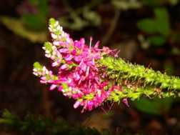 Seite Farben