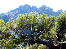 Seite Landschaft